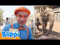Elefantes en el Zoológico 🐘 Blippi Español