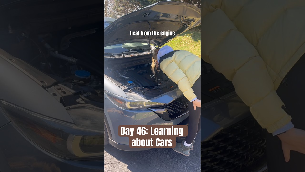 Day 46: Radiator #automobile #cars #learning
