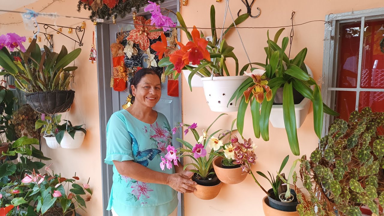 Mis Orquídeas luciendo sus Colores y Tamaños 😍//Ubicación, Riego y Sustrato❤️🌿🌺