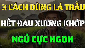 3 Cách Dùng Lá Trầu Không Giảm Đau Xương Khớp Tại Nhà Cực Hiệu Quả