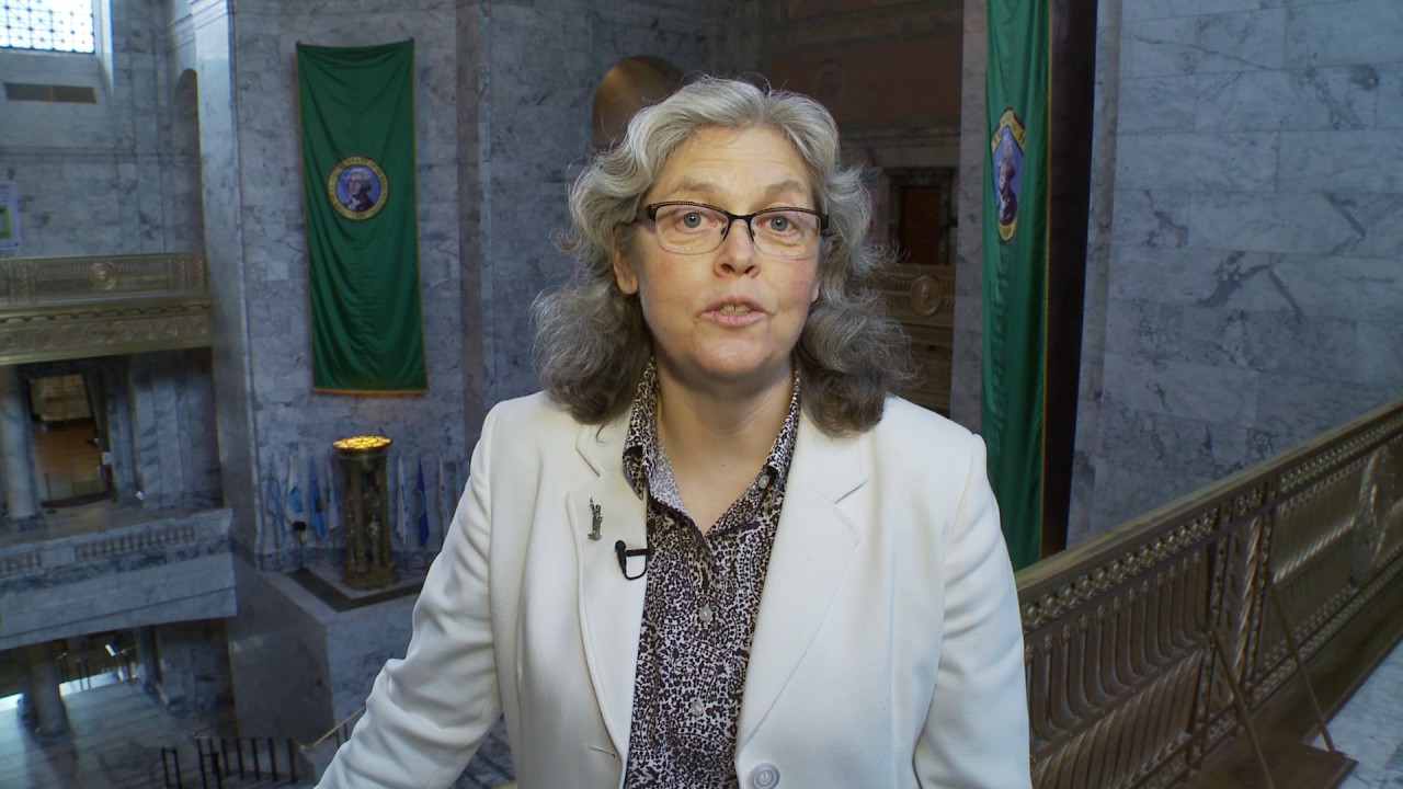 Greetings from House of Origin cutoff week Rep. Laurie Jinkins YouTube