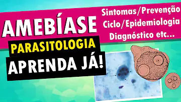 Como se dá a transmissão da amebíase?