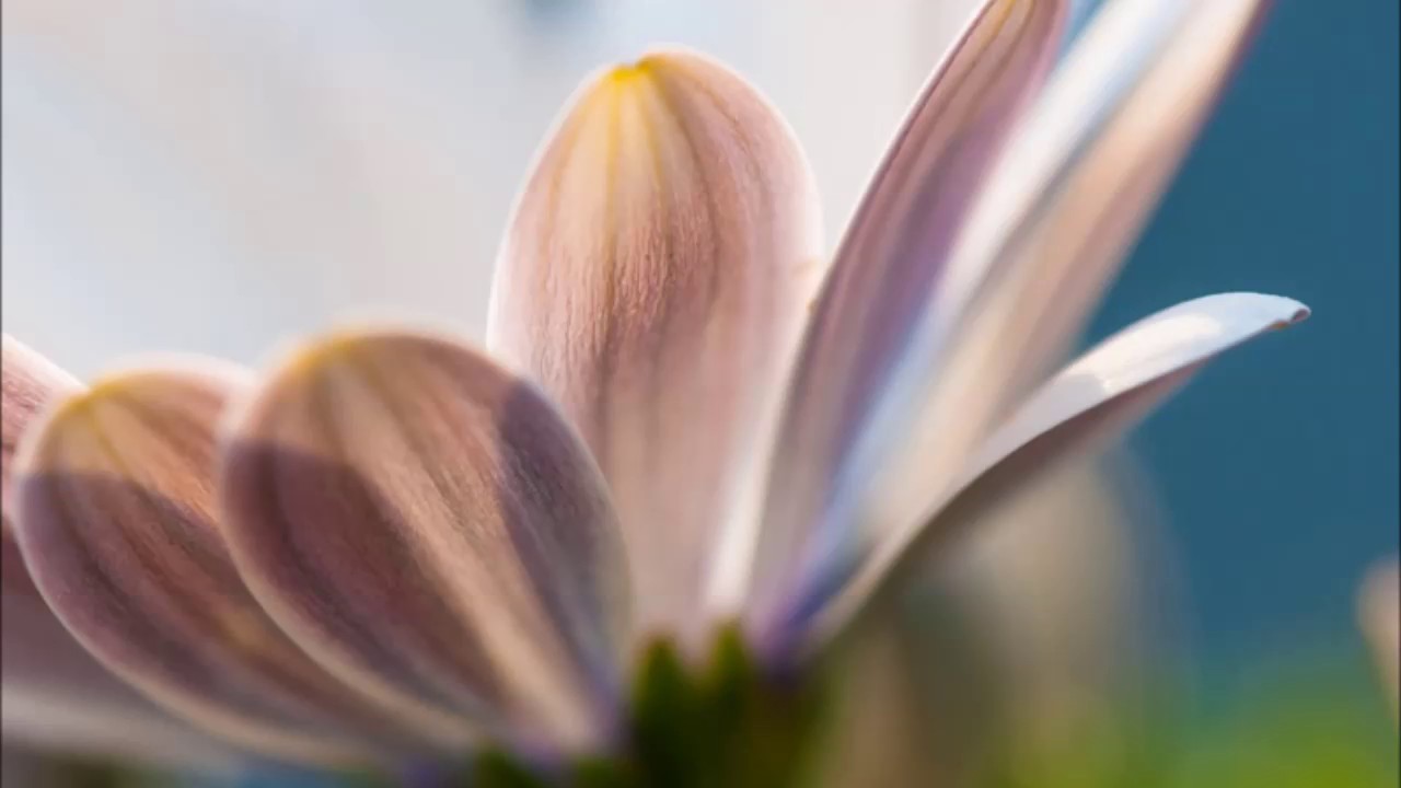Tabia Mbaya Ya  Kuomba Omba. Sheikh Abdallah Humeid (Hafidhahullah)