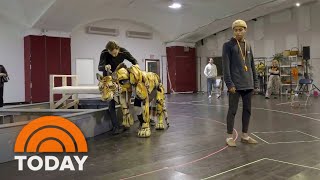 Go behind the scenes of the puppetry of Broadway's ‘Life of Pi’