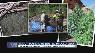Celebrity Major pot grows busted in Colorado Net Worth