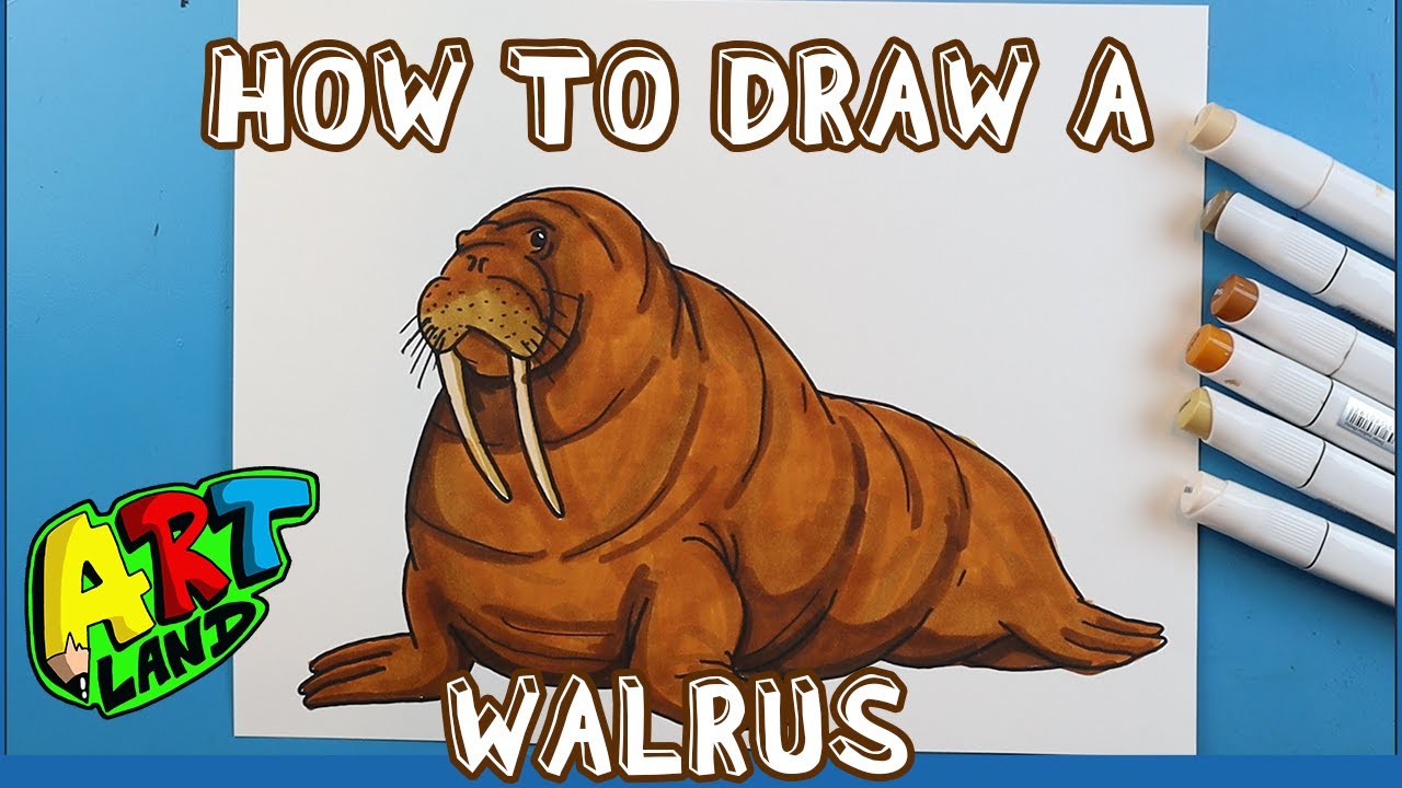 How to Draw a WALRUS!!! - YouTube