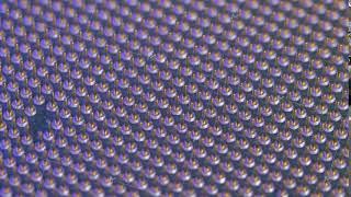 Soket pins on CPU chip processor