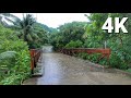 (ASMR) NATURE WALKWAY ROAD SHOWER IN THE RAIN | UMBRELLA SOUNDS RELAXING WALK 4K 🇵🇭