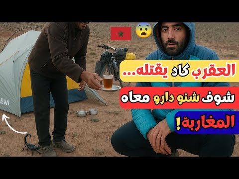عقرب كاد يقتل سائح ا إسباني ا وسط الصحراء وما فعله المغاربة بعدها أبكى الجميع