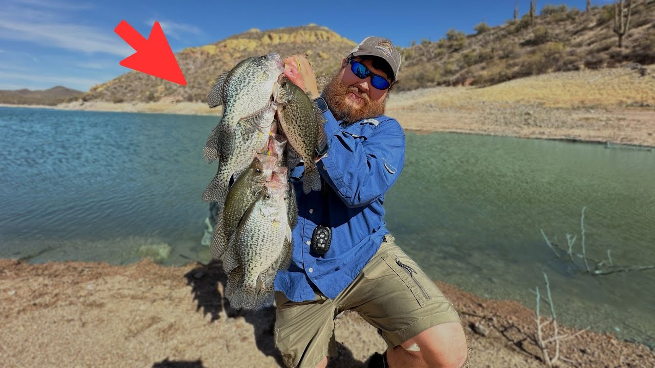 I Couldn't Believe the Size of These Fish… New PB?