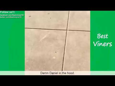 King Bach Vines 2017 1 Hour