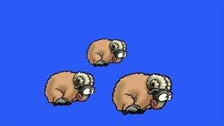 Running Sheeps Green Screenanimals Sheep Animation