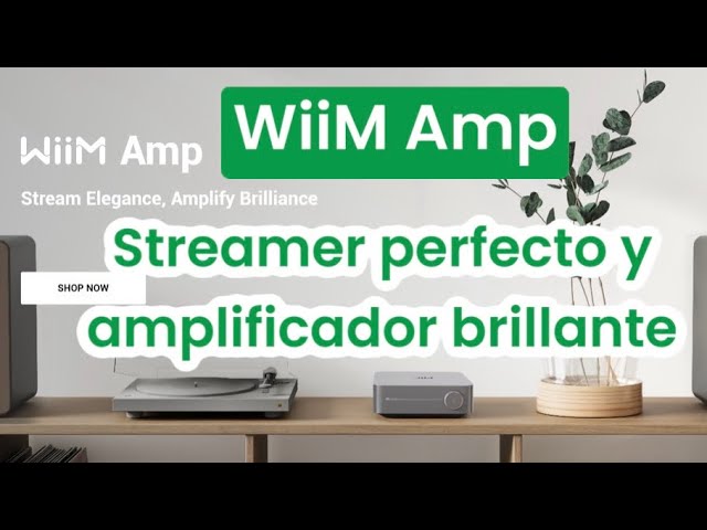 WIIM Amp 🔥 Streamer Perfecto y Amplificador BRILLANTE 💥 TODO EN UNO 