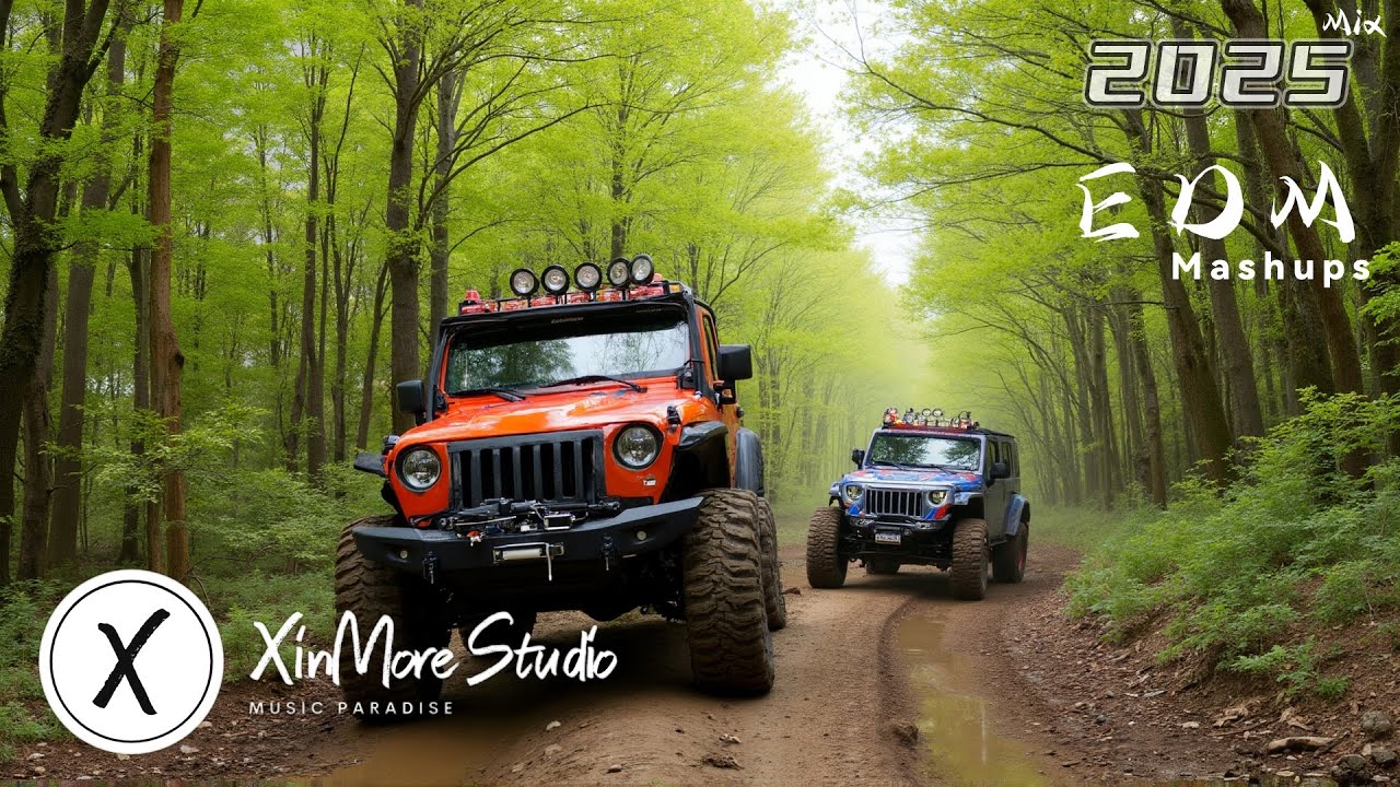 Hardstyle Festival 2025 🎵 Best EDM Drops 🎵 Ultimate Party Mix 2025