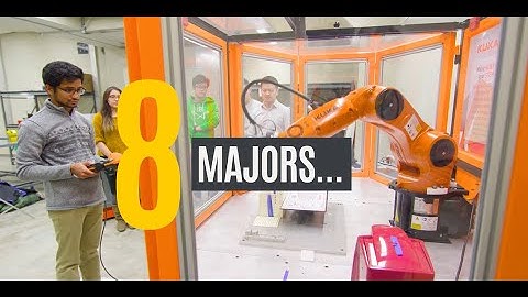 Undergraduate engineering majors at the University of Iowa