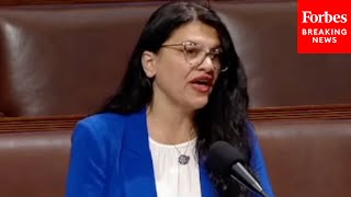 Rashida Tlaib Slams 'For-Profit Charter Schools' That Commit 'Fraud, Waste, And Abuse'