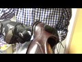 Middle of video