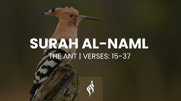 Surah Al Naml by Idris Abkar | تلاوة جميلة بصوت ادريس ابكر