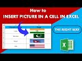 How to Insert and Filter Picture in Excel