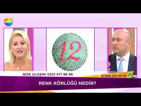 Televizyonda renk körlüğü testi nasıl yapılır?