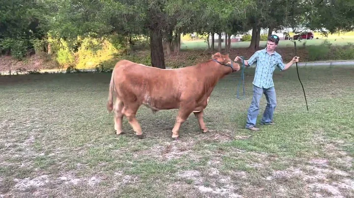 Shane Kendall RJ steer 9-19-22