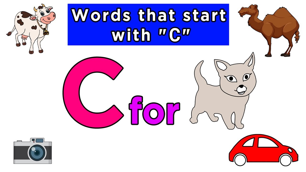 another word for assignment that starts with c