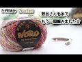野呂さん毛糸でもう一個編みました☆Crochet Frame Purse☆かぎ針編みがま口編み方、編み物