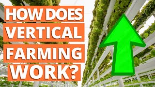 How Does Vertical Farming Works? What is Vertical Farming? | Good Developments