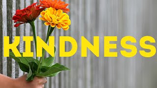 Kindness Is A Ripple