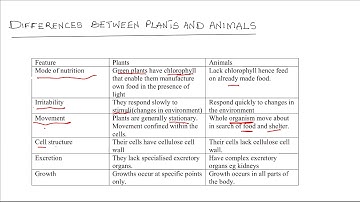 Differences between plants and animals
