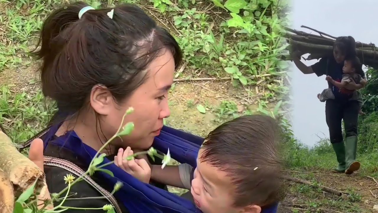 Single mother goes deep into the forest to collect firewood and ...