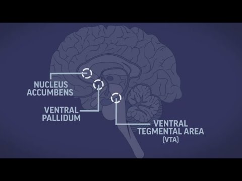 Why are Opioids addictive?