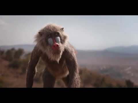 the-lion-king-(2019)-trailer-subtitle-indonesia