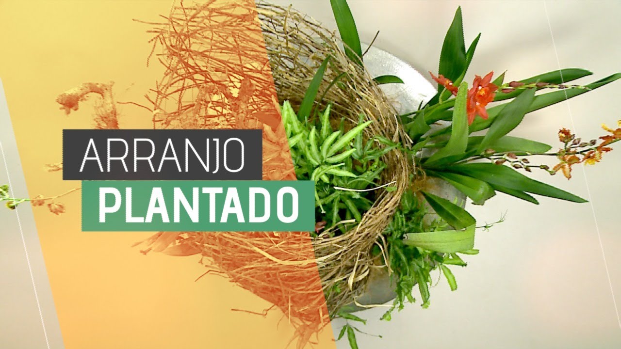 ARRANJO PLANTADO - Aprenda a fazer um arranjo plantado rápido e prático.