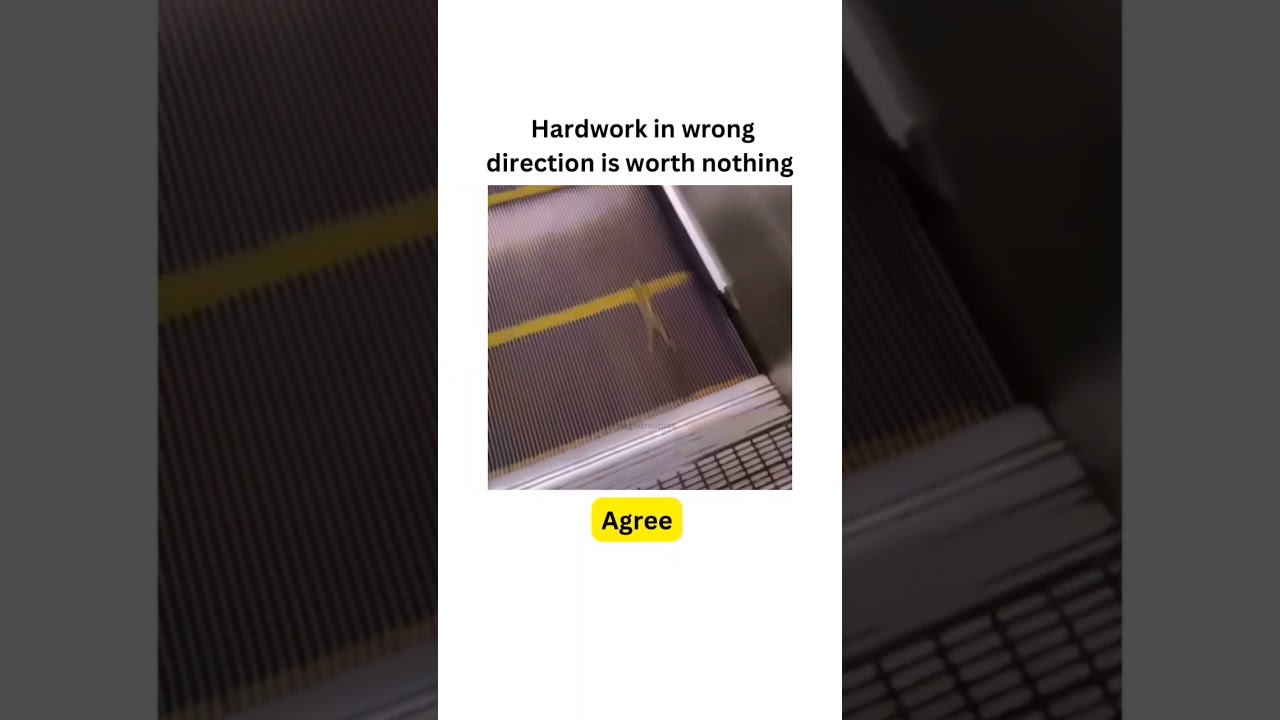 True line status l true words l soul_motivation l 