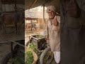 ⚙️ Desi Farming Jugad Machine 🏍️ पुरानी मोटरसाइकिल से बनाई घास काटने की मशीन #desijugaad