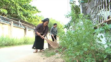 Ninh Thuận nỗ lực đạt tiêu chí về môi trường ở xã Phước Hậu