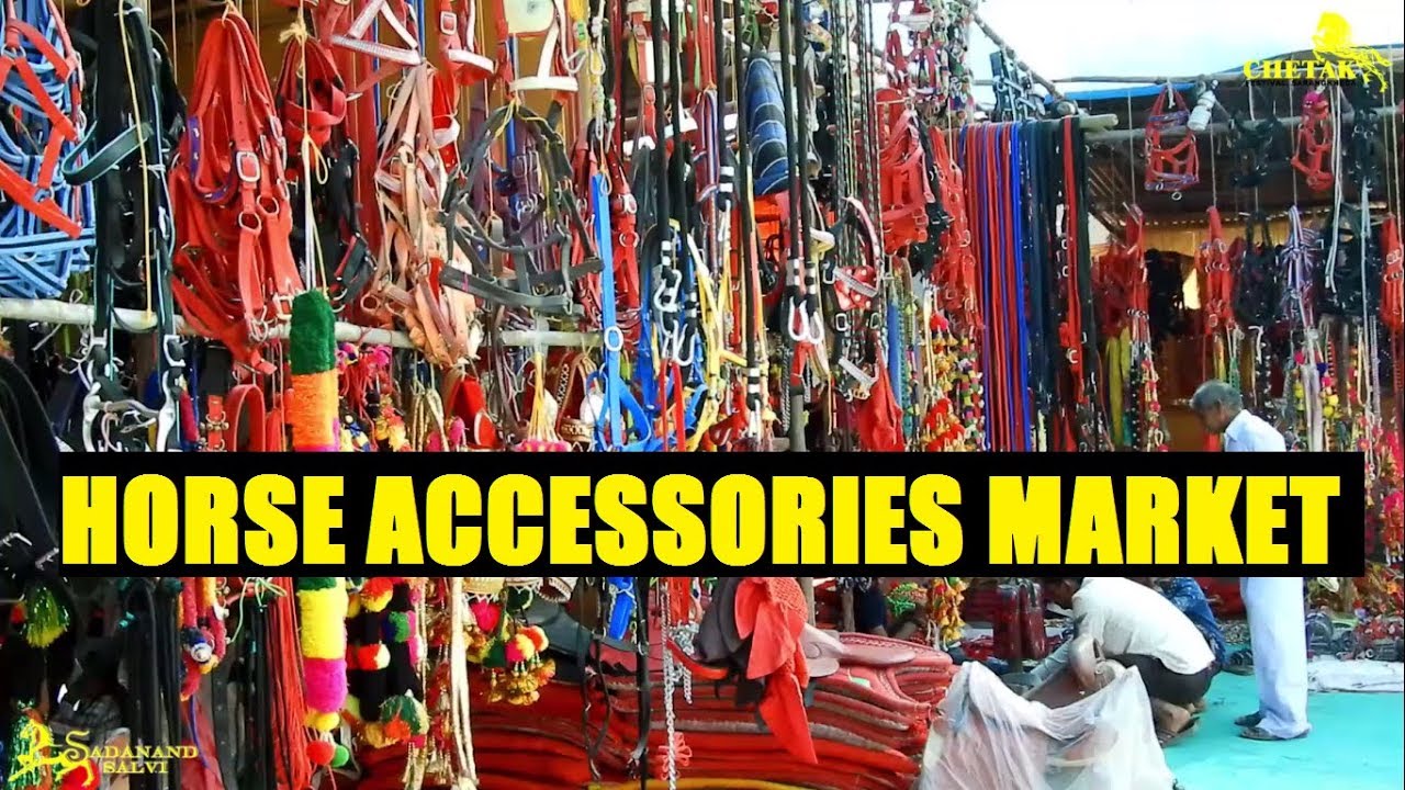 हॉर्स एक्सेसरीज मारकेट || INDIAN HORSE ACCESSORIES MARKET || SARANGKHEDA 2018