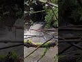 Sunset Summit Apartments (downstream culvert failure)