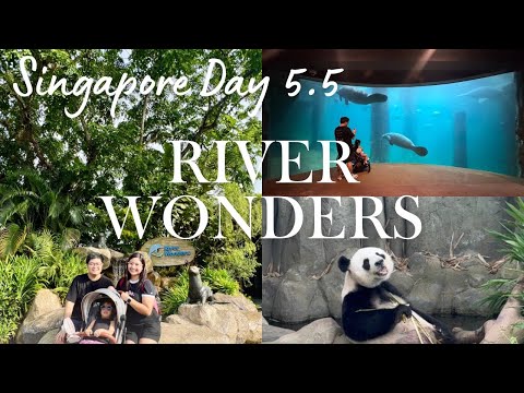 SINGAPORE DAY 5 5 RIVER WONDERS With A Toddler