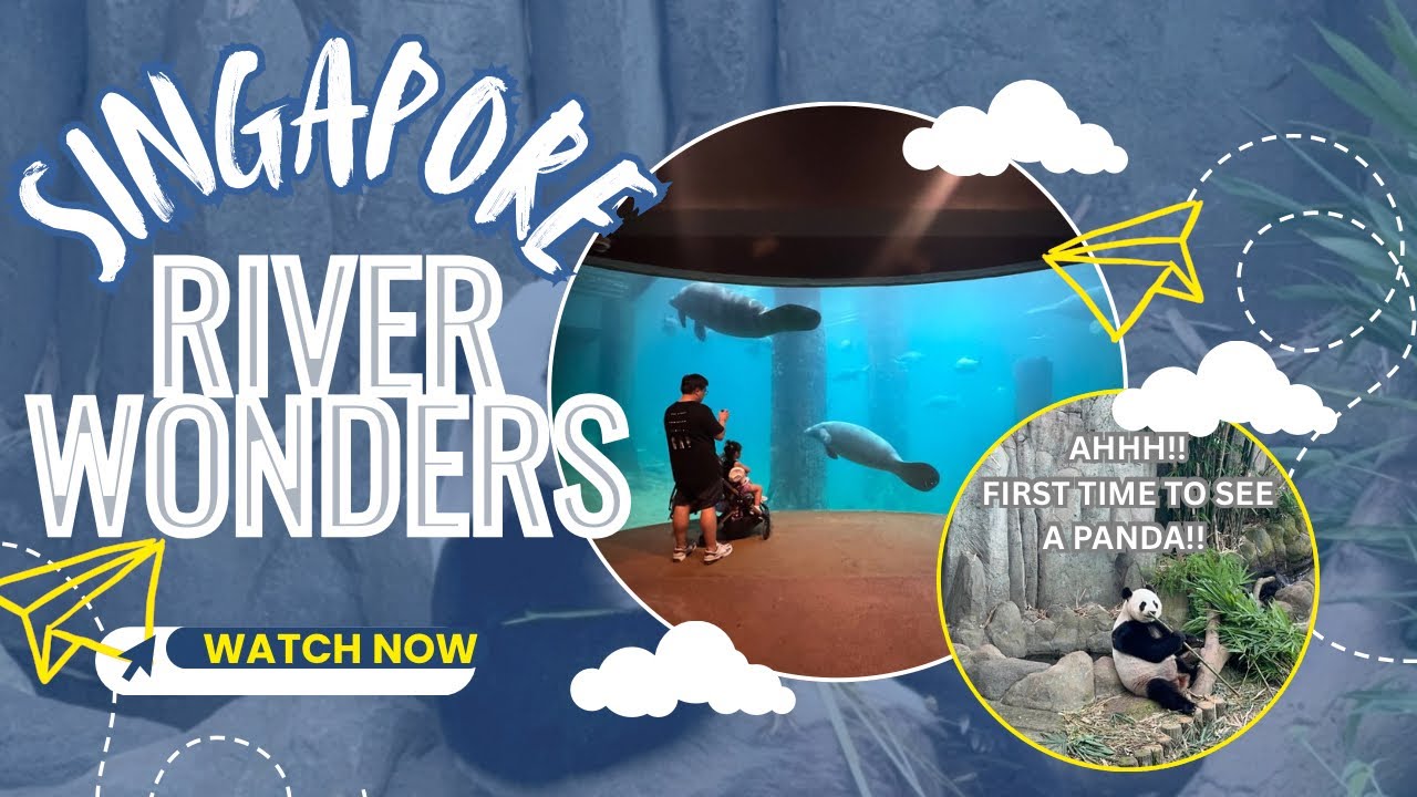 SINGAPORE DAY 5.5: RIVER WONDERS with a toddler | PANDA IN REAL LIFE! OUR REACTION 😭