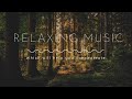 Music for relaxation and meditation  helper in calming the soul