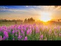 Guten Morgen Musik тШЕ Wake Up Musik Die Positive Energie Boost тШЕ Ruhigen Morgen Meditation Musik Guten Morgen Musik тШЕ Wake Up Musik Die Positive Energie Boost тШЕ Ruhigen Morgen Meditation Musik