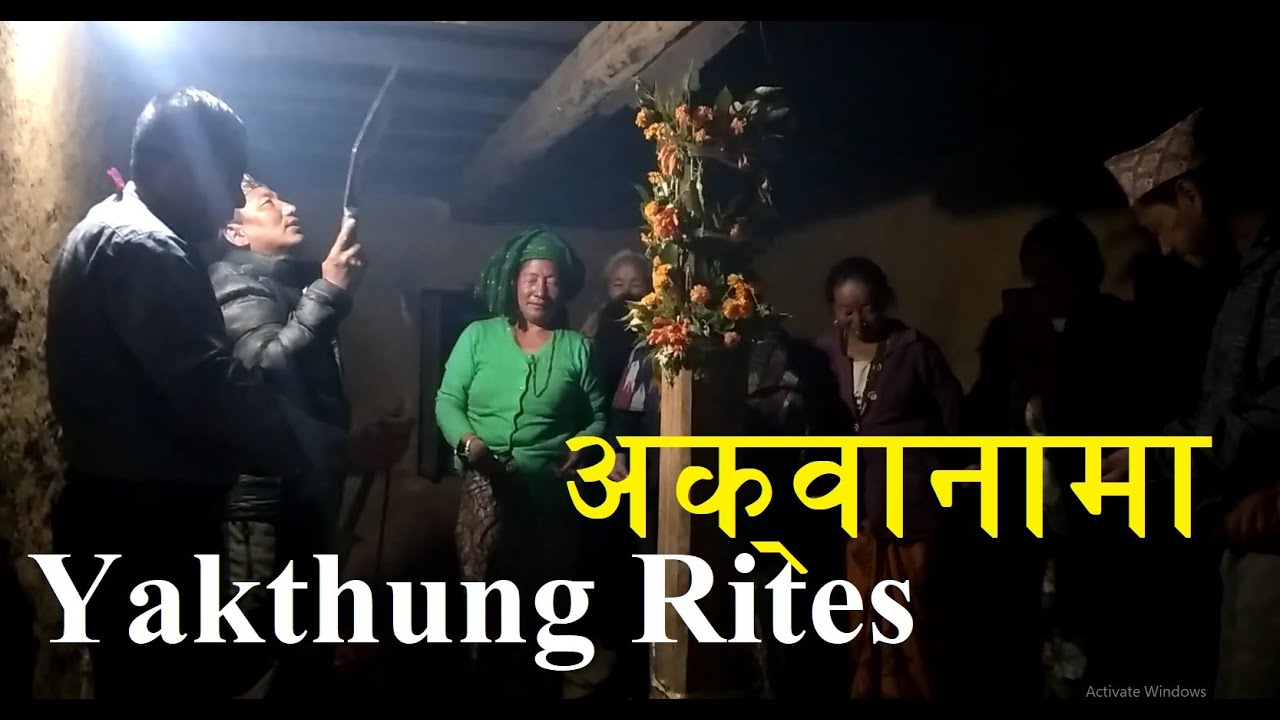 New Documentary-/सिअक्लुङ अकवानामा/A?wanama/Yakthung Traditions/Yakthung Rites/Himalayan shaman