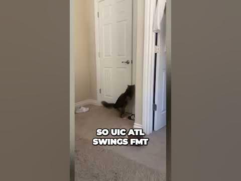Unbelievable Gaming Illusion You wont believe your eyes #funny #cute #