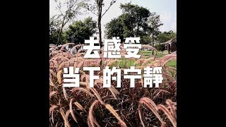 201709 去感受当下的宁静23673