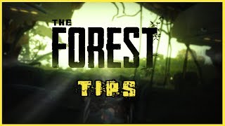 Molotov - How To The Forest Game