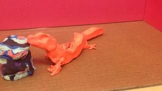 Gecko Test Animation