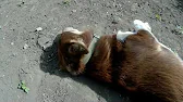 Просто жизнь.