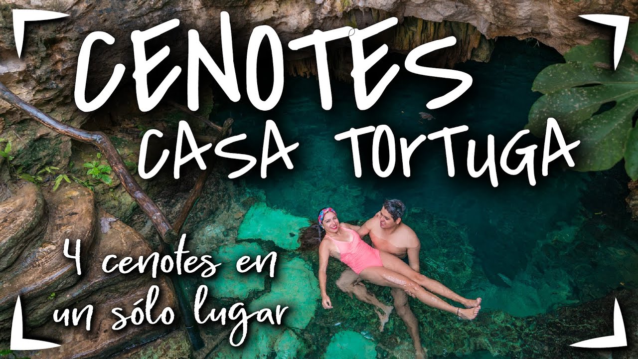 4 CENOTES TULUM $400 MXN 🔴 CENOTES CASA TORTUGA CENOTES baratos en